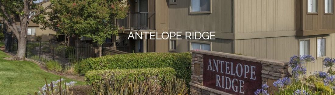 Antelope Ridge Apartments Thank You