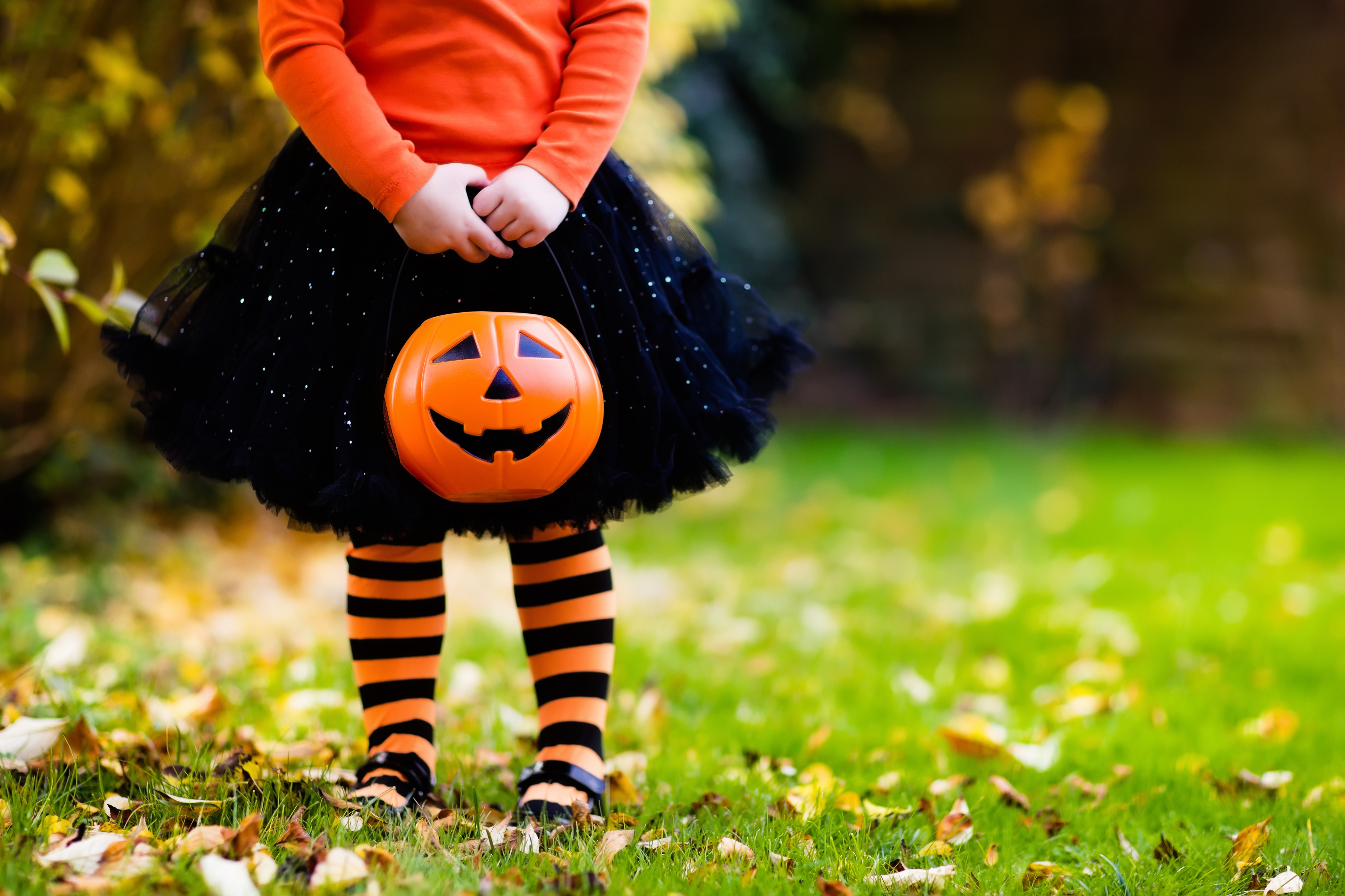 Little girl in witch costume playing in autumn park. Child having fun at Halloween trick or treat. Kids trick or treating. Toddler kid with jack-o-lantern. Children with candy bucket in fall forest.